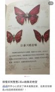 于本身就是奇异内容的绘本
